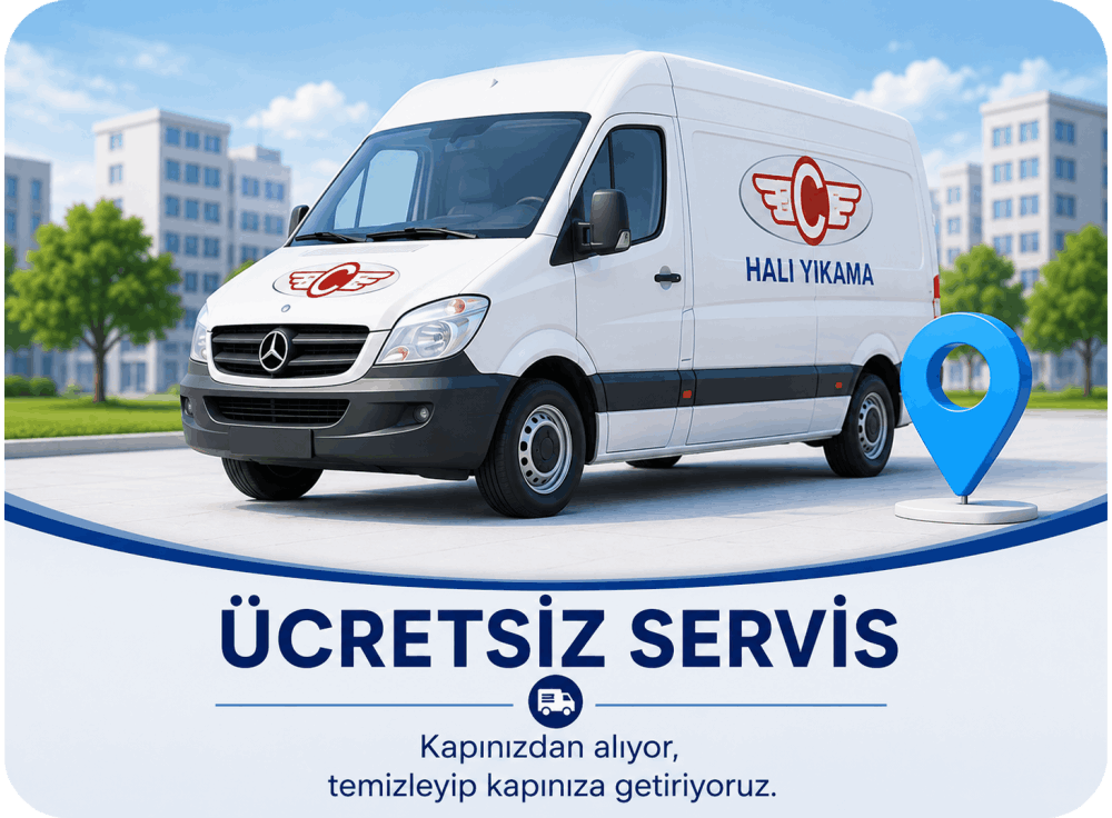 Ece Halı Yıkama Servis